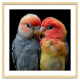 Two Lovebirds Nuzzle Together thumbnail