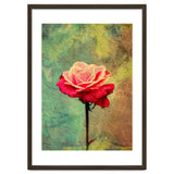 A Vibrant Red Rose thumbnail