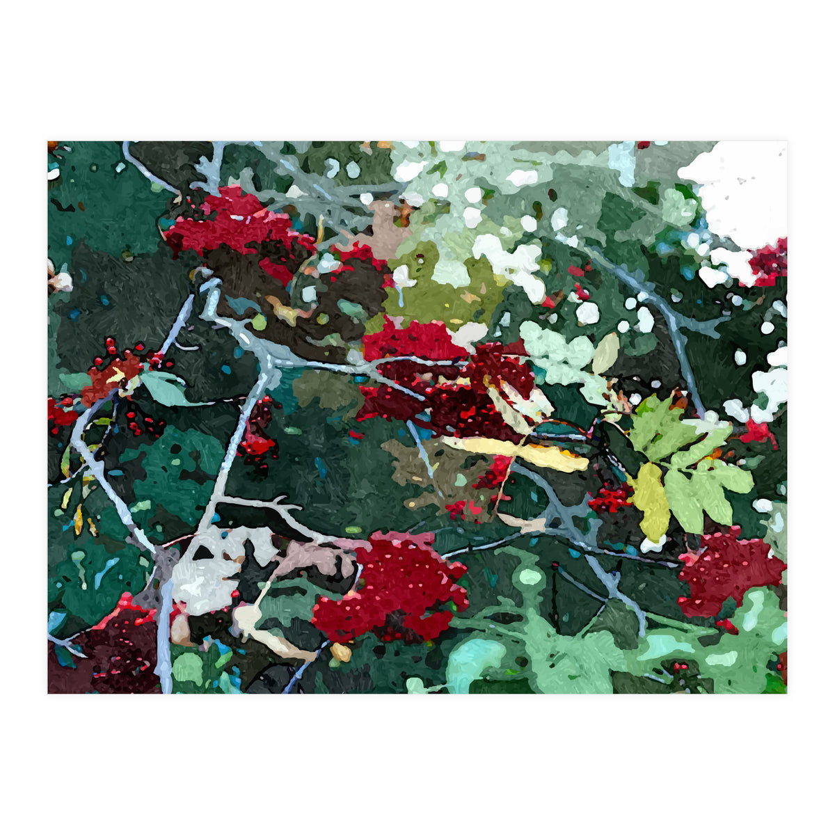 Berries (Print Only)