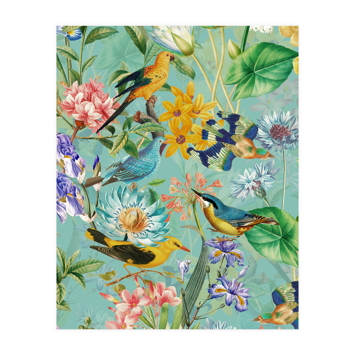 Birds In Tropical Jungle  (Print Only)
