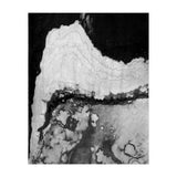 Vintage (Print Only) thumbnail