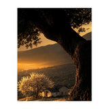 The Hill (Print Only) thumbnail
