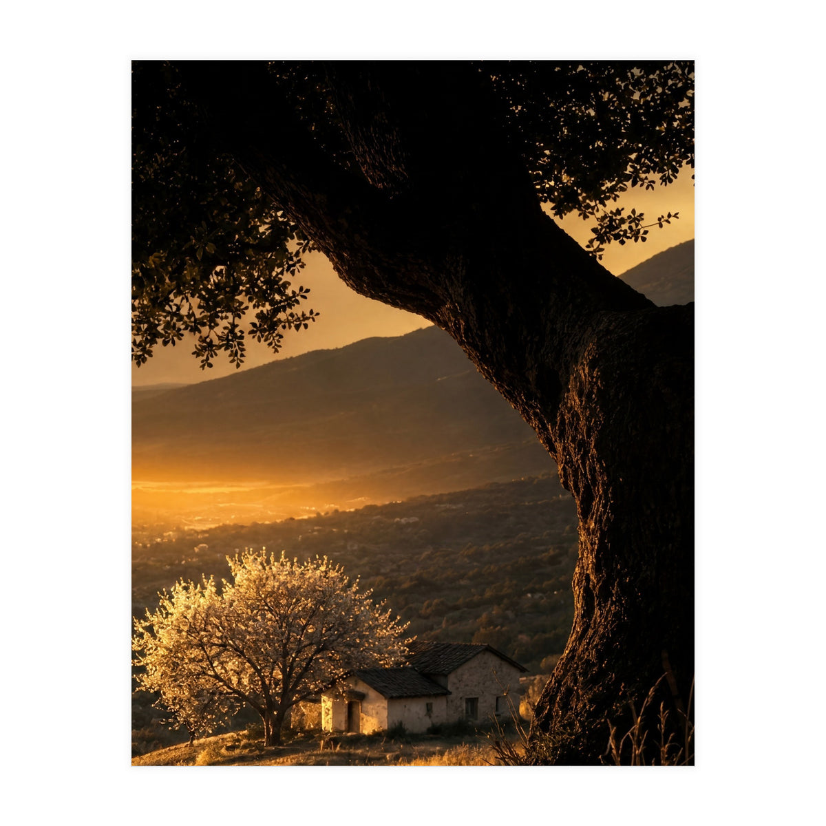 The Hill (Print Only)