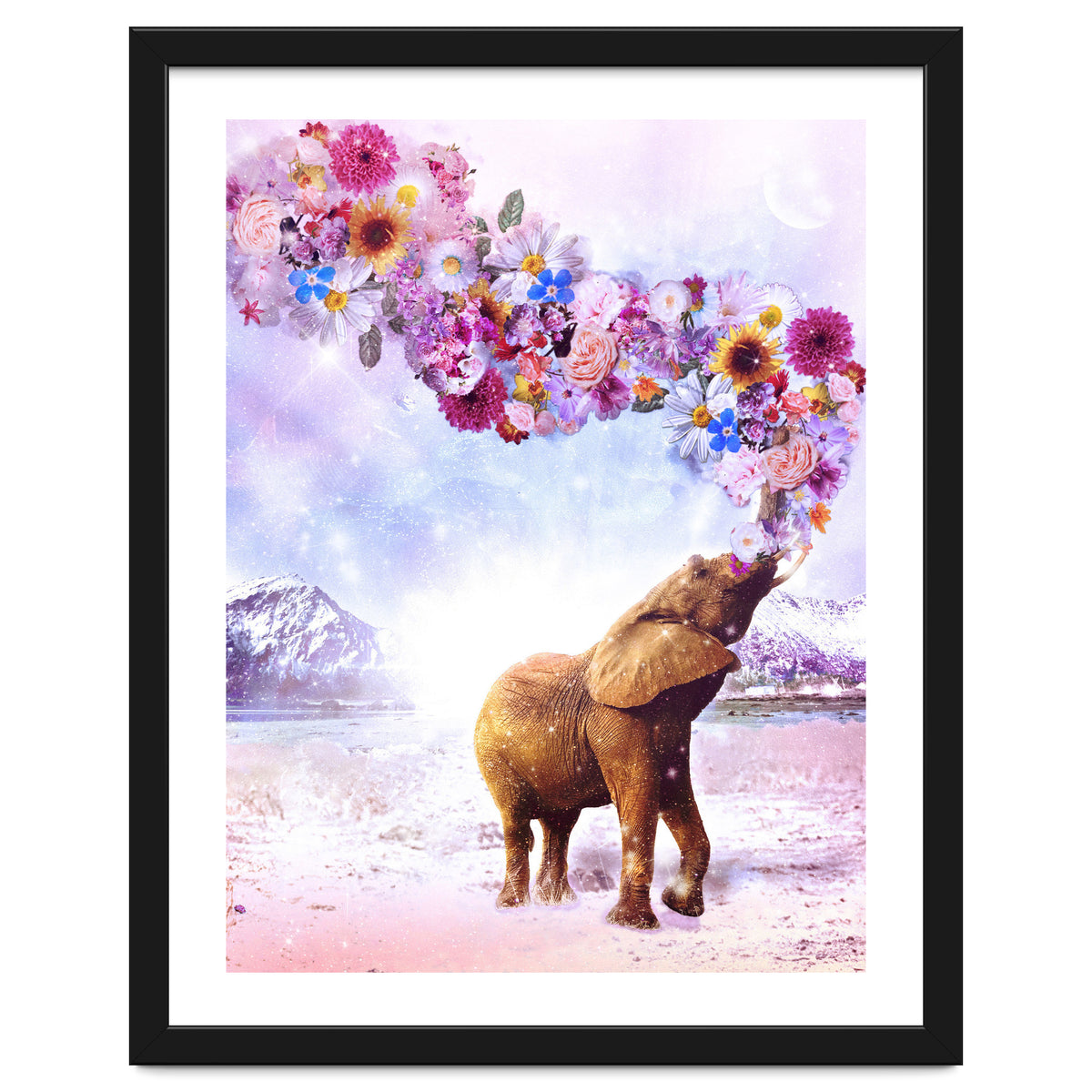 Daria - Supreme Majestic