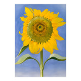 Georgia O’Keeffe – Sunflower, New Mexico (1935) | Bold Modernist Floral Painting Inspired by the American Southwest (Print Only) thumbnail