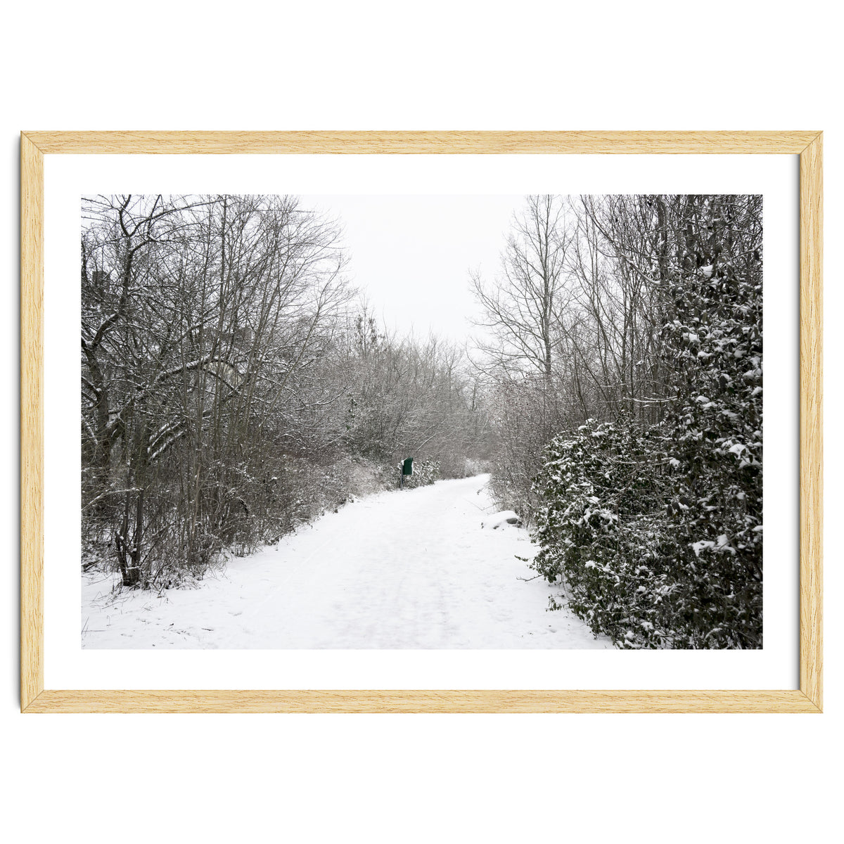 Walking through the snow park