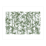 Bamboo Moody Green White (Print Only) thumbnail