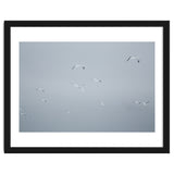 Flying seagulls in the winter sky thumbnail