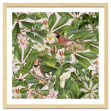 Tropical Bird Garden thumbnail