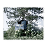 Blue hut on the tree (Print Only) thumbnail