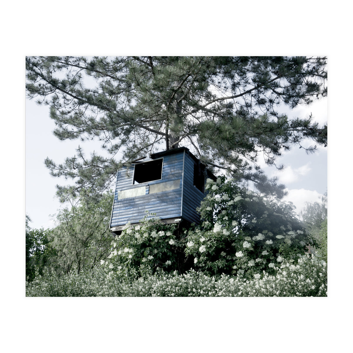 Blue hut on the tree (Print Only)
