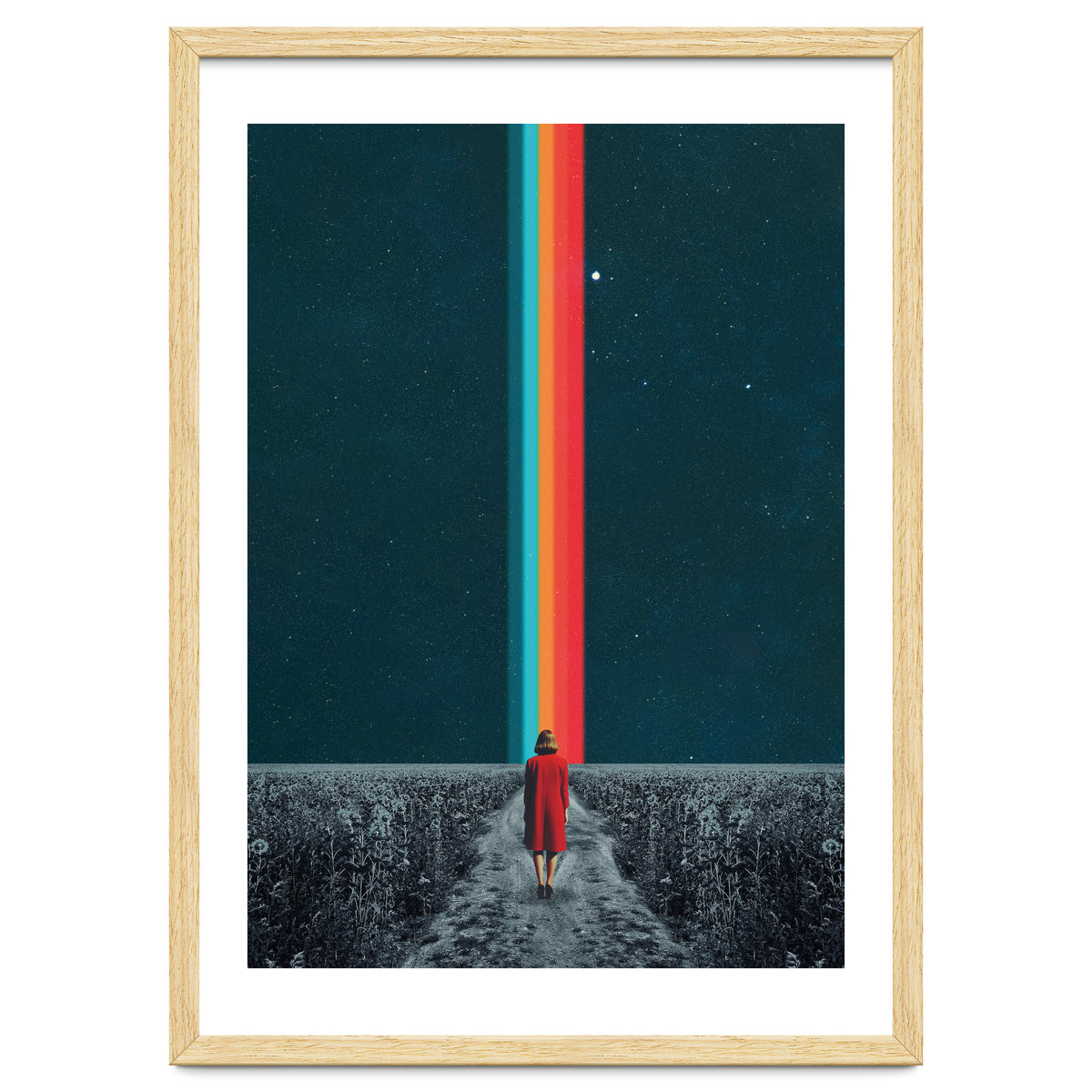 Follow Your Own Path