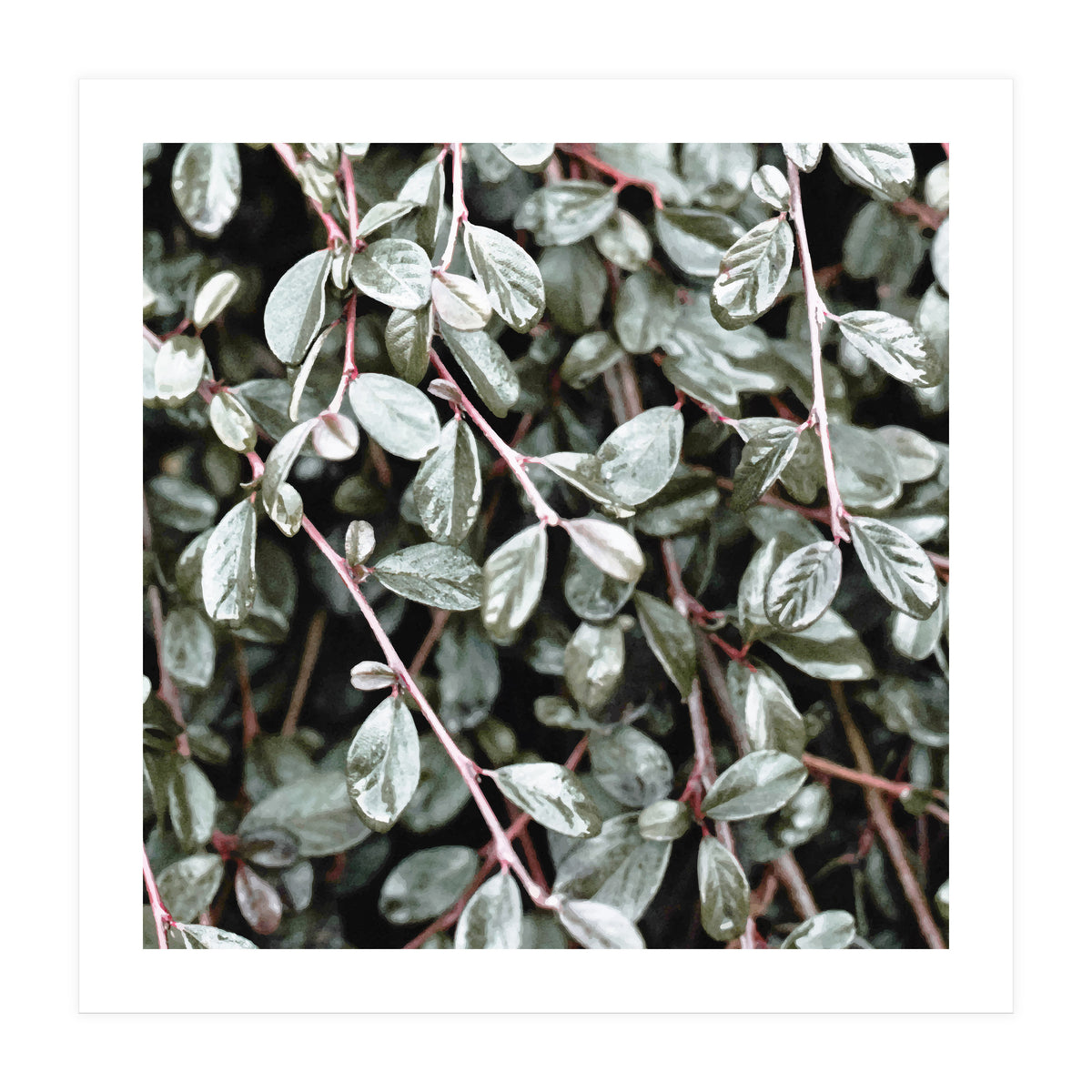 Rain #society6 #decor #buyart (Print Only)