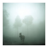 Silence of breath - 01 (Print Only) thumbnail