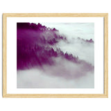 Forest Fog thumbnail