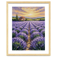 Visions of Provence