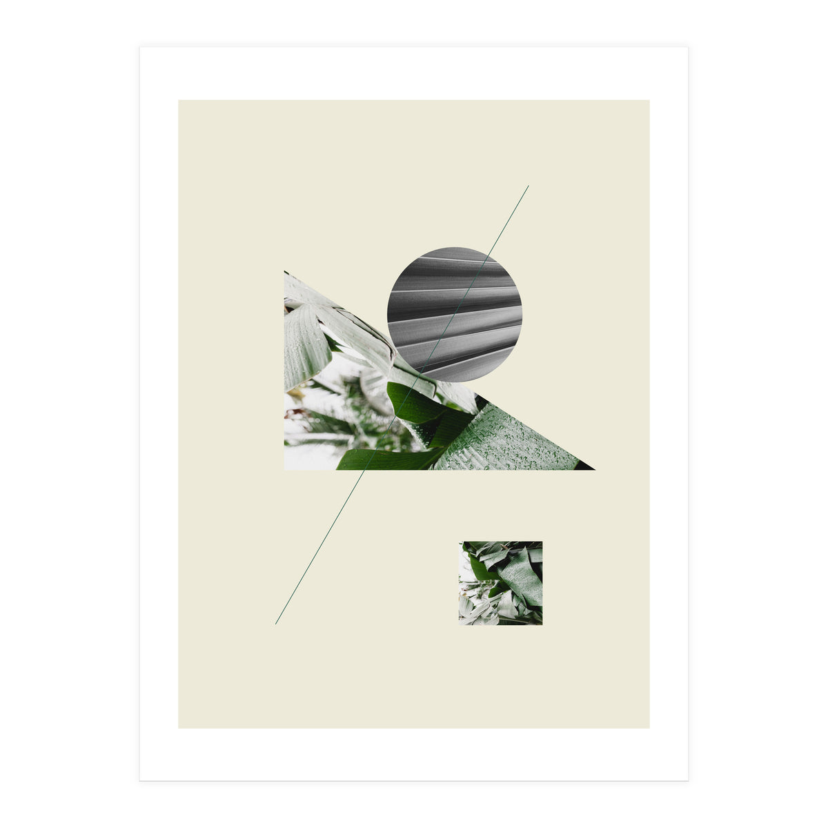 Tropical Geometry No 2 (Print Only)