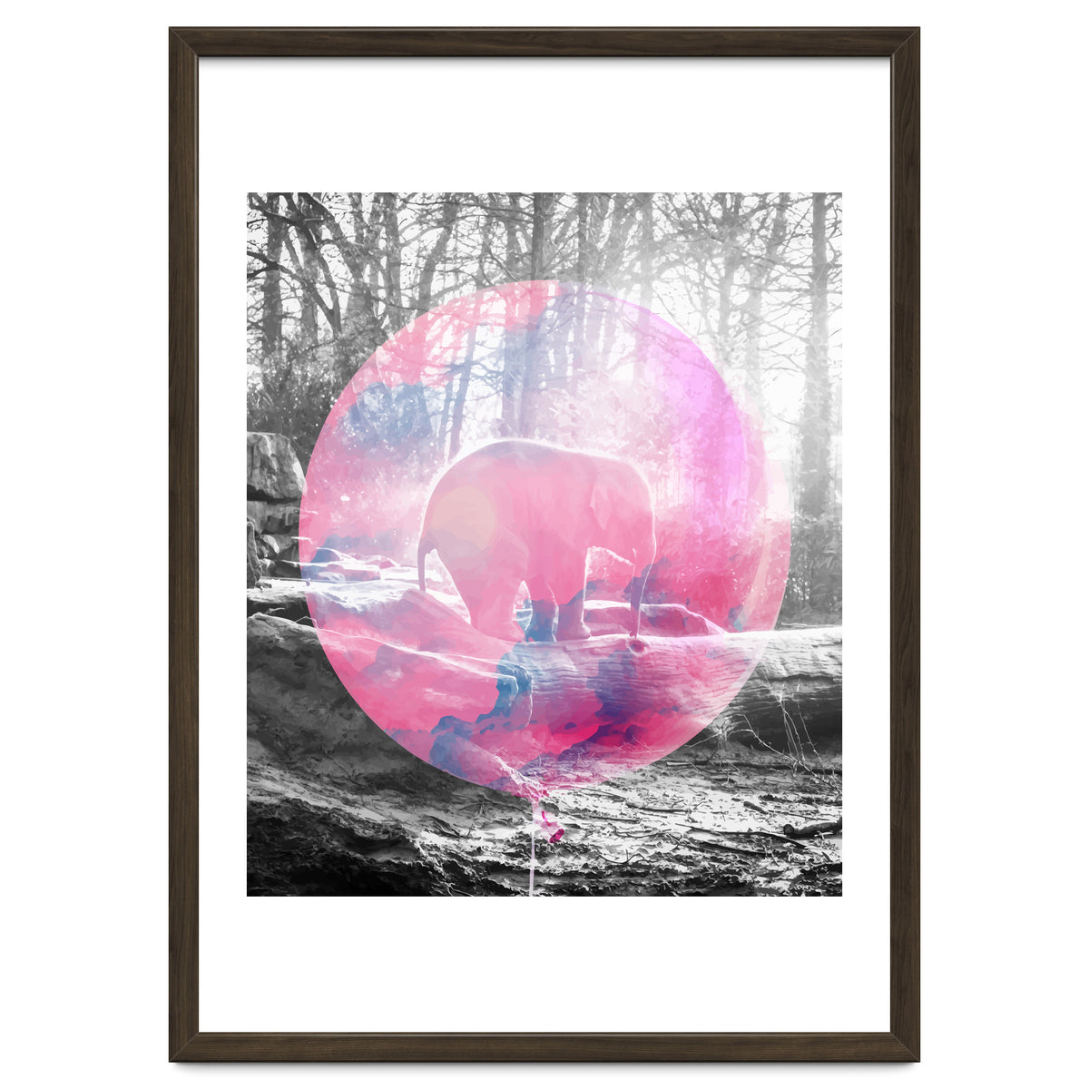 Baby Elephant In A Balloon