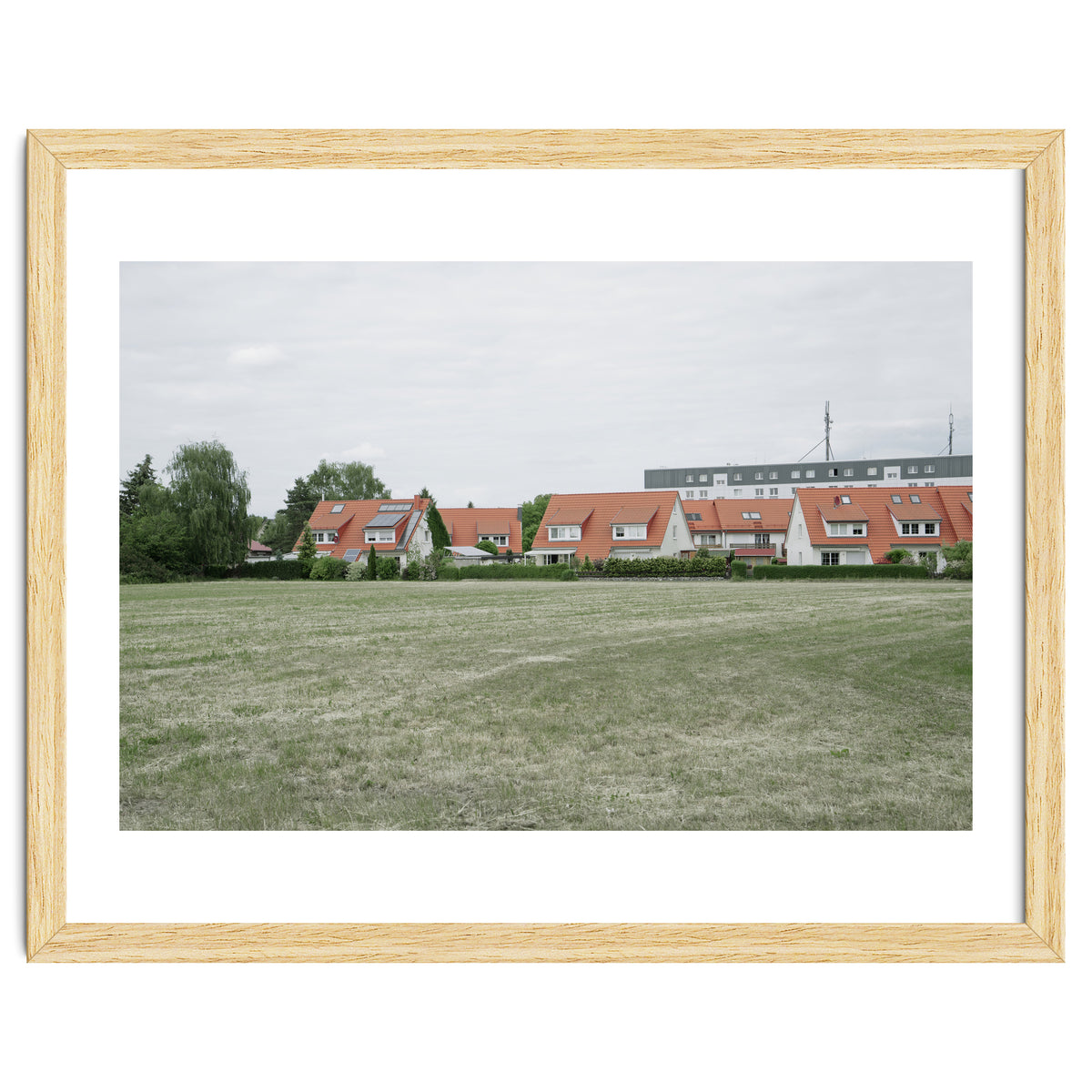 Red roof houses in the green field
