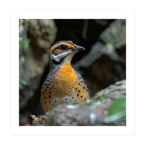 Colorful Bird Perched Among Rocks And Foliage (Print Only) thumbnail