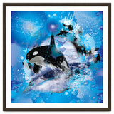 Orca thumbnail