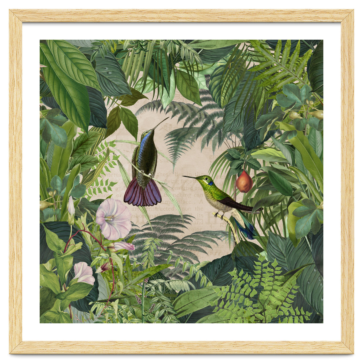 Tropical Hummingbird Jungle