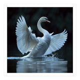 Majestic White Swan Spreading Wings On Water (Print Only) thumbnail