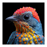 Close Up Of Colorful Bird With Water Droplets (Print Only) thumbnail