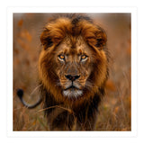 Majestic Lion King Of The Savannah In Dry Grass (Print Only) thumbnail