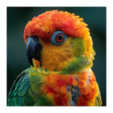 Sun Conure Parrot Close Up Eye  (Print Only) thumbnail