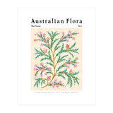 Australian Flora: Wax Flower (Print Only) thumbnail