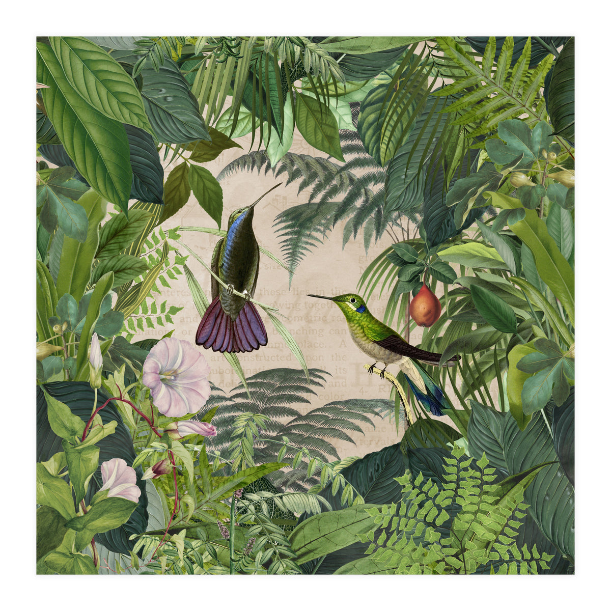 Tropical Hummingbird Jungle (Print Only)