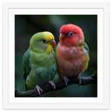 Two Lovebirds Sitting Together On A Branch thumbnail