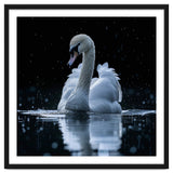 Majestic Swan Swimming In Dark Water thumbnail