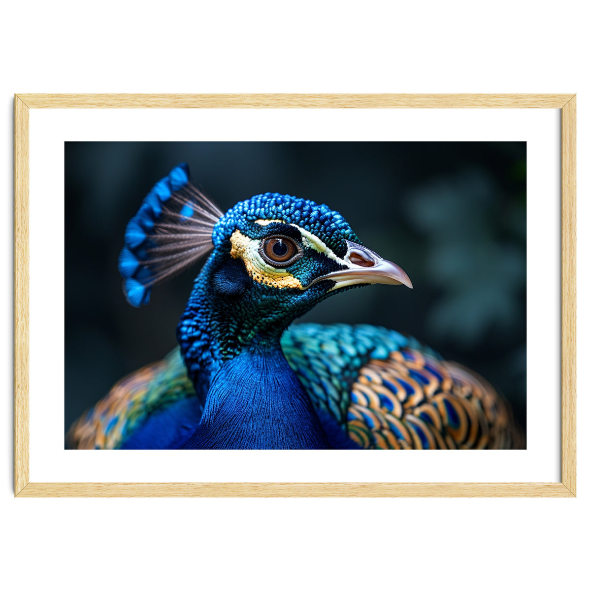 Peacock Head Close Up Majestic Blue Bird