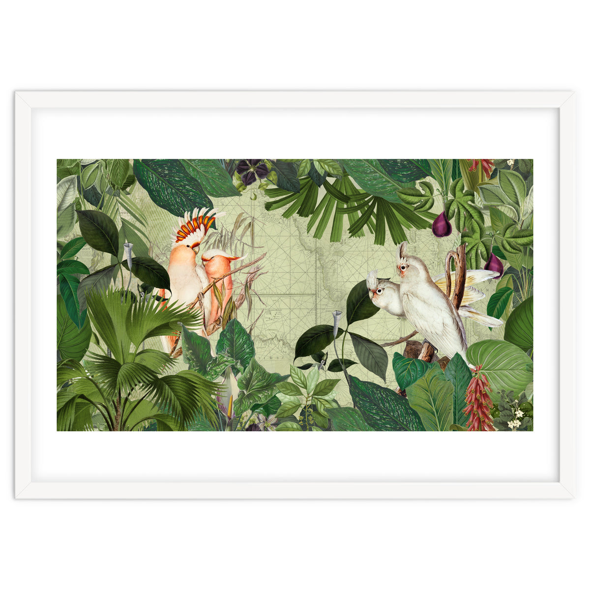 Cockatoo Island Green