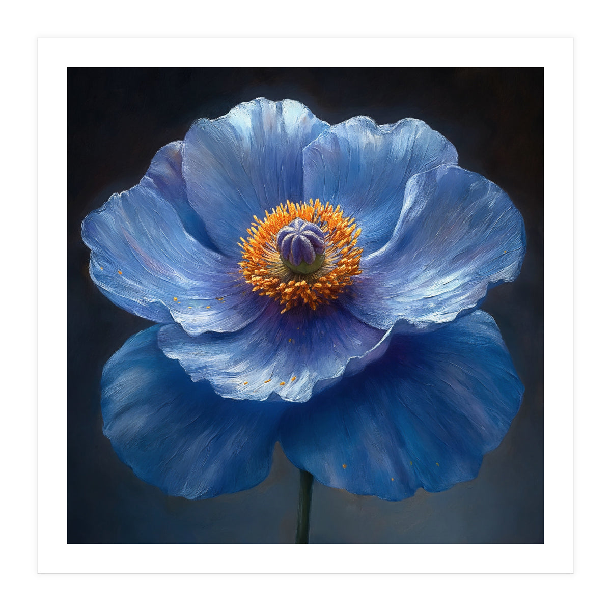 Meconopsis | Sapphire Serenade (Print Only)