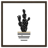 Black Cactus thumbnail