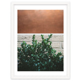 Plant + Copper thumbnail