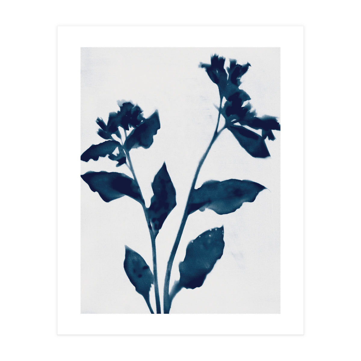 Indigo Blue Flower Silhouette 2 (Print Only)