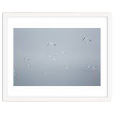 Flying seagulls in the winter sky thumbnail