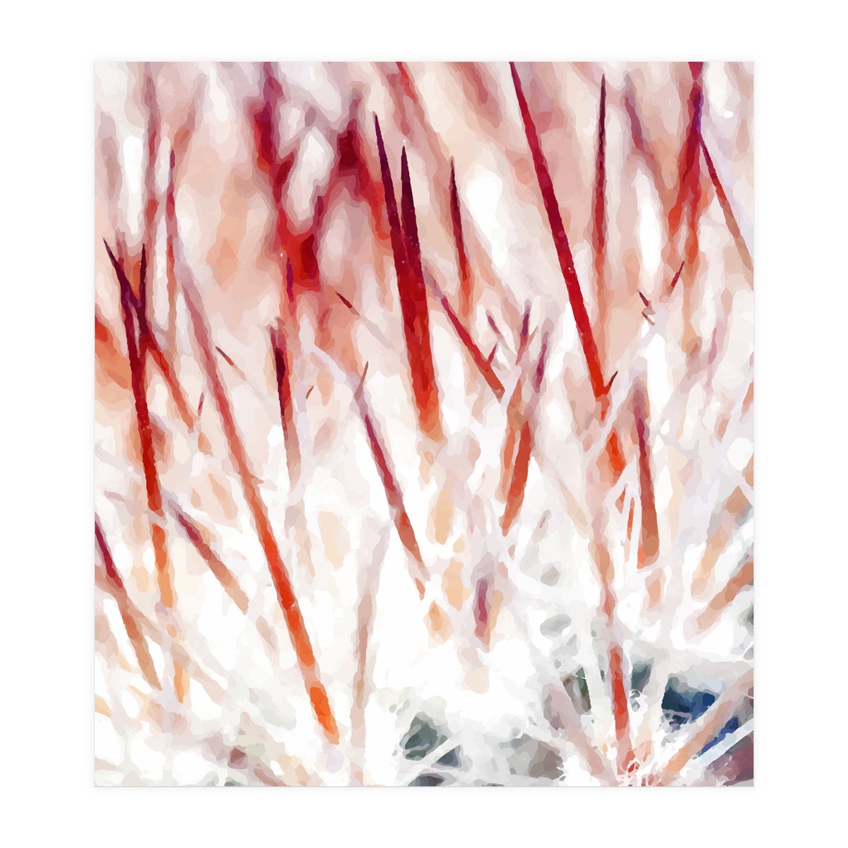 Delicate Florals (Print Only)