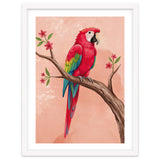 Red Macaw Parrot Bird Forest thumbnail