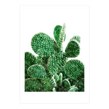 Velvet Cactus | Watercolor Botanical Plants | Minimal Boho Scandinavian Painting (Print Only) thumbnail