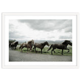 Running horses - Iceland thumbnail