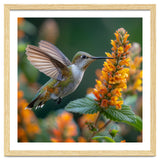 Hummingbird Feeding On Yellow Flowers Nectar thumbnail