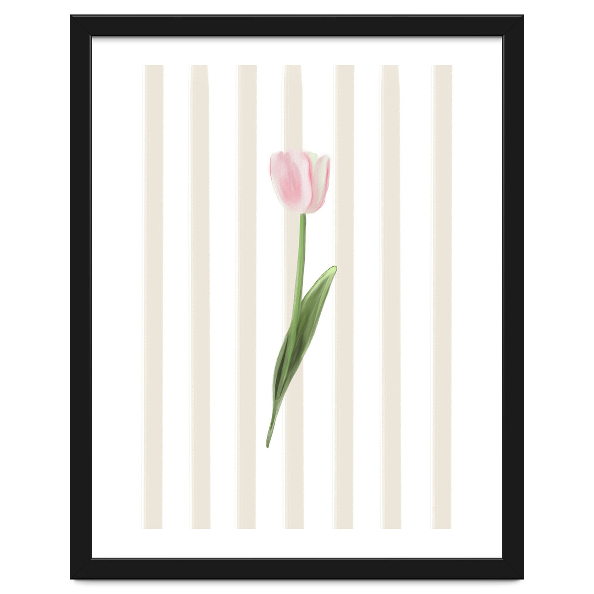 Single Tulip