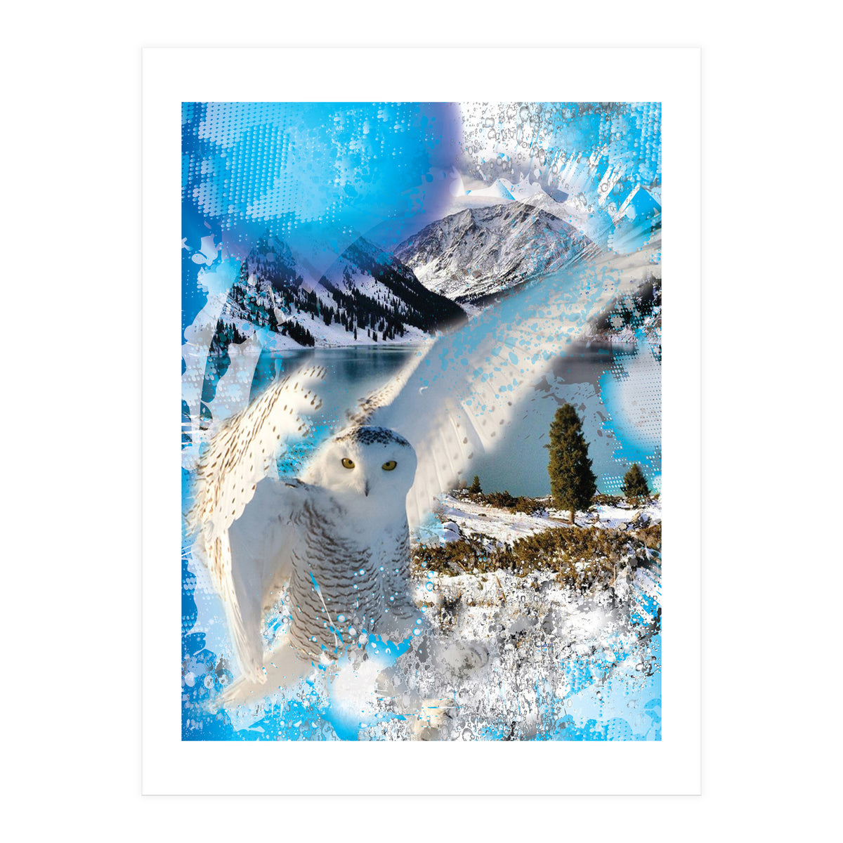 Snow Owl (Print Only)