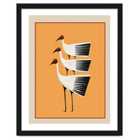 Striped Bird Trio II