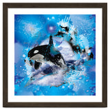 Orca thumbnail